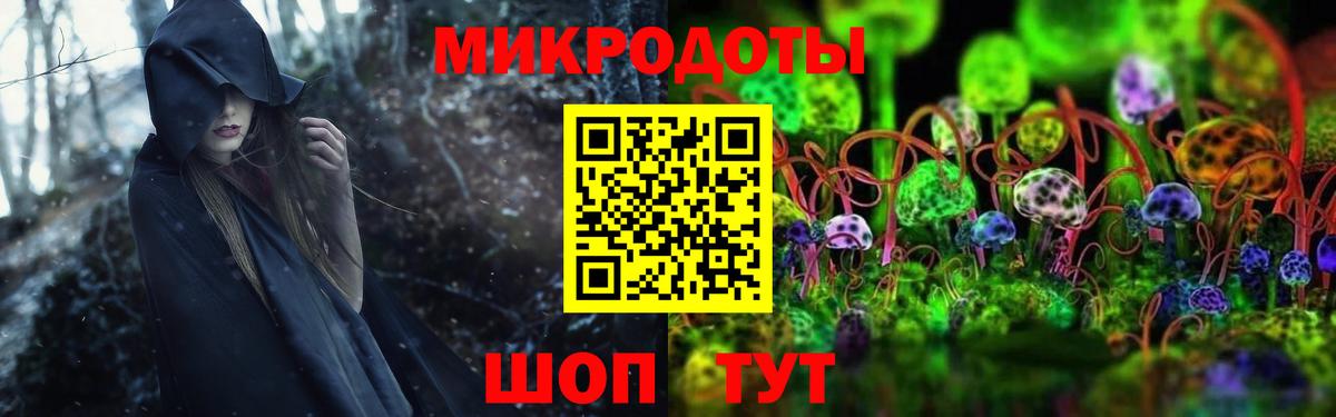 Галлюциногенные грибы Psilocybe Павлово